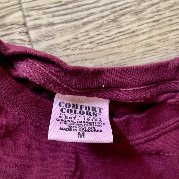 Comfort Colors Aggieland LS shirt - Picture 3 of 3